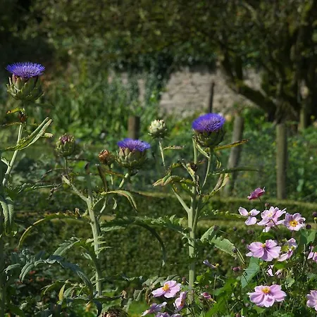 Semesterbostad Mornington House