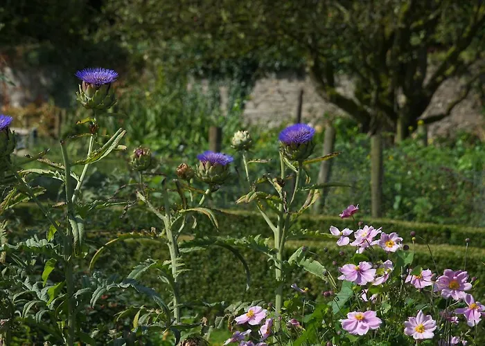 Dom wakacyjny Mornington House